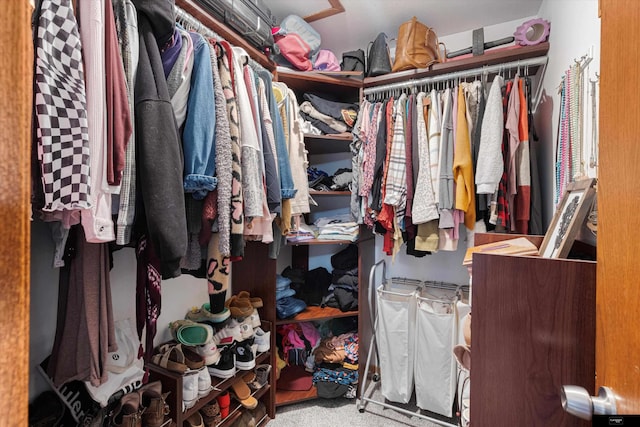 2706 Overlook Cir, Plattsmouth, NE 68048 - spacious closet with carpet flooring