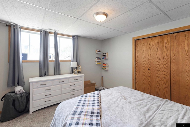 2706 Overlook Cir, Plattsmouth, NE 68048 - carpeted bedroom with a drop ceiling and a closet