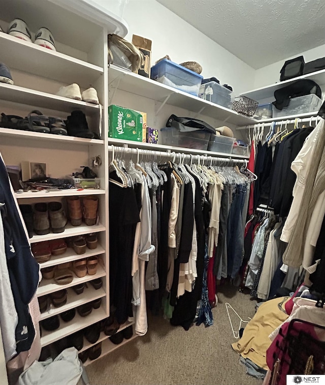 7521 Exbury Rd, Lincoln, NE 68516 - walk in closet with carpet
