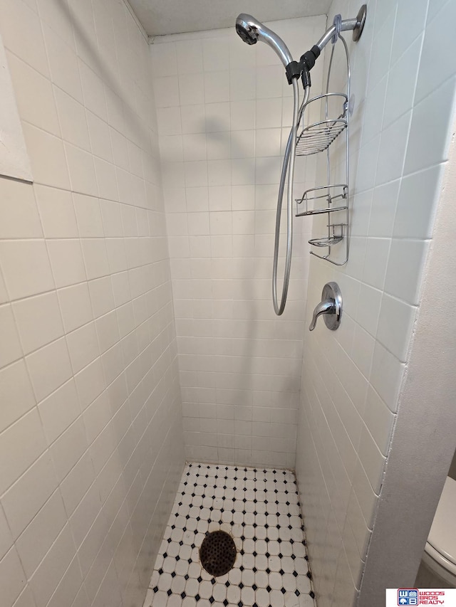 1241 Bessie St, Goehner, NE 68364 - bathroom featuring a tile shower, toilet, and tile patterned flooring