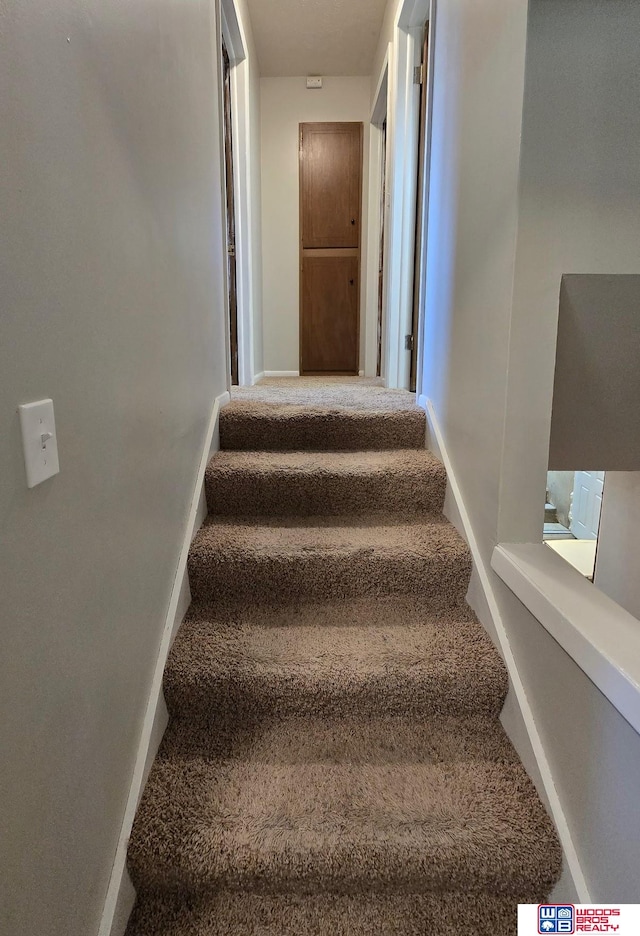 1241 Bessie St, Goehner, NE 68364 - stairway featuring carpet and baseboards