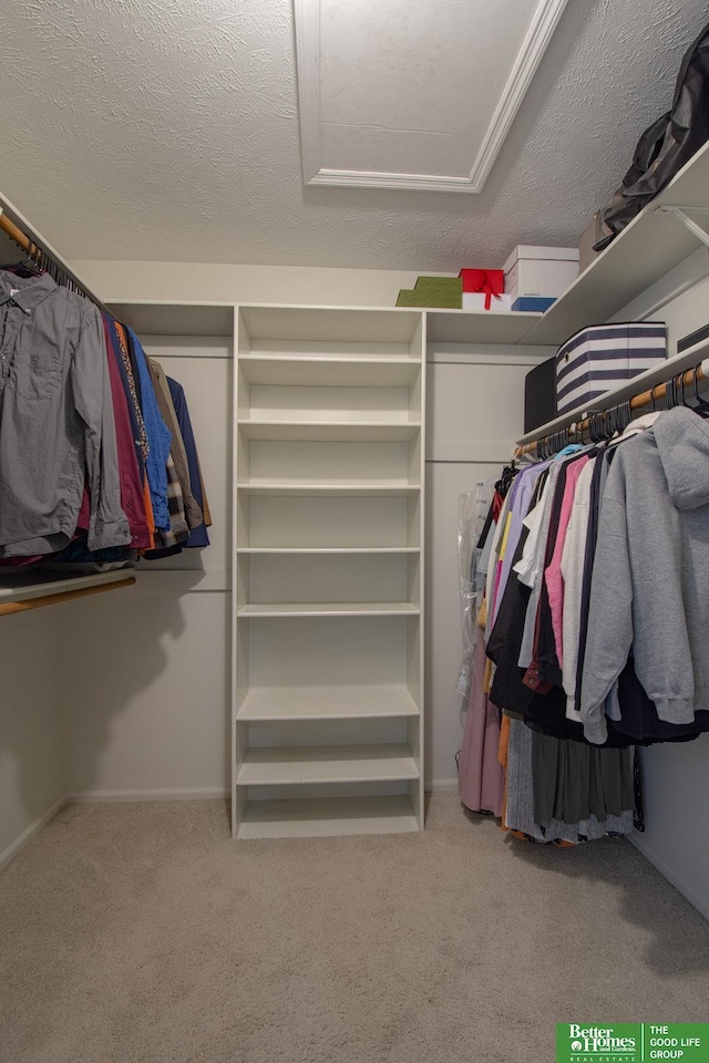 1014 Hickory Hill Rd, Papillion, NE 68046 - walk in closet featuring carpet floors and attic access