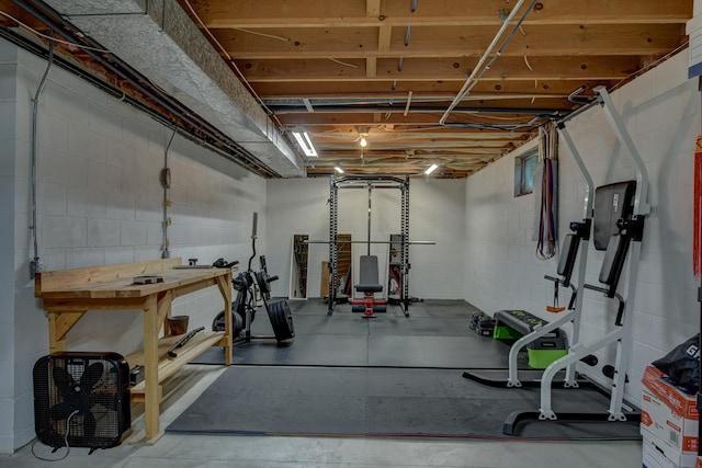 1014 Hickory Hill Rd, Papillion, NE 68046 - workout area with concrete block wall
