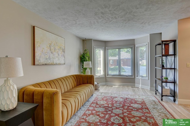 1014 Hickory Hill Rd, Papillion, NE 68046 - living area featuring wood finished floors, baseboards, and a textured ceiling