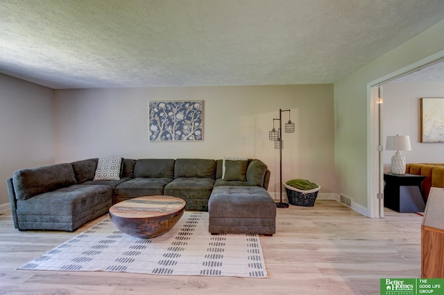 1014 Hickory Hill Rd, Papillion, NE 68046 - living area with light wood-style flooring, baseboards, and a textured ceiling