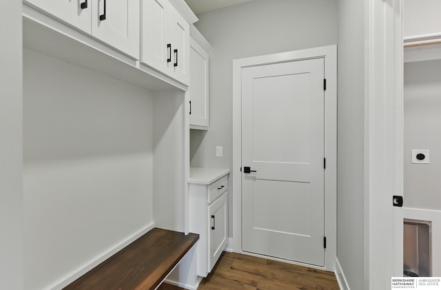 8218 N 167th Ave, Bennington, NE 68007 - mudroom with dark wood-style floors