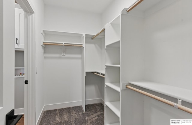 8218 N 167th Ave, Bennington, NE 68007 - view of walk in closet