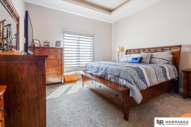 12601 S 78th St, Papillion, NE 68046 - view of carpeted bedroom
