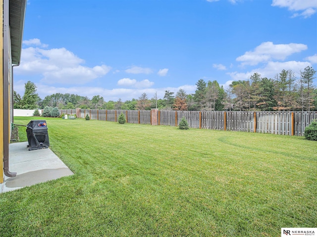 9656 White Pine Rd, Lincoln, NE 68505 - view of yard