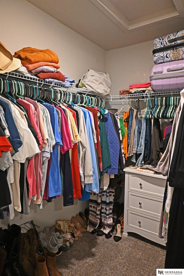 4401 Leawood Dr, Bellevue, NE 68123 - spacious closet with carpet and attic access