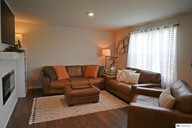 4401 Leawood Dr, Bellevue, NE 68123 - living room with dark wood finished floors, a glass covered fireplace, and baseboards