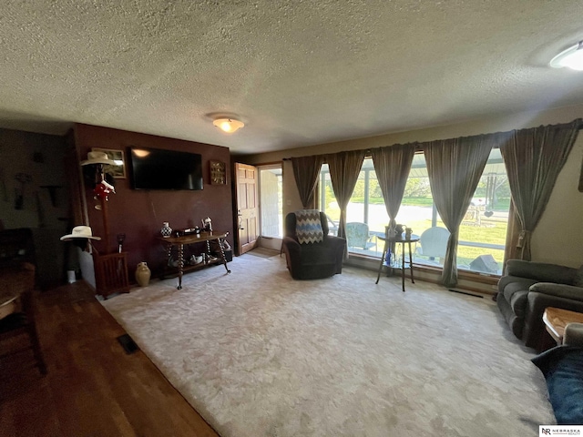 606 E 7th St, Valentine, NE 69201 - living room featuring a textured ceiling and carpet floors