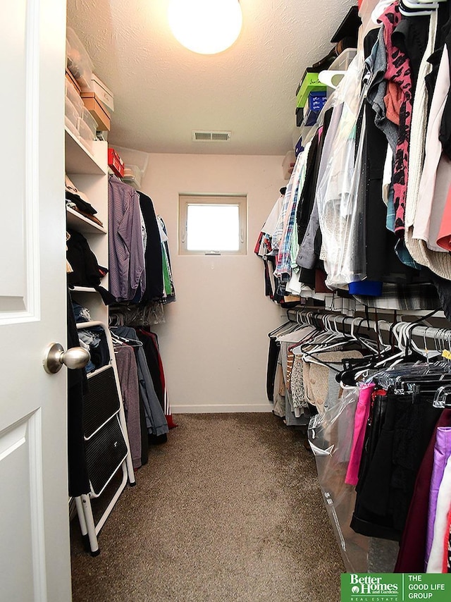 7968 N 163rd Ave, Bennington, NE 68007 - spacious closet with carpet