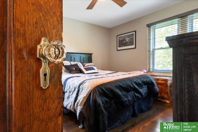 2028 N 55th St, Omaha, NE 68104 - bedroom featuring wood finished floors and ceiling fan