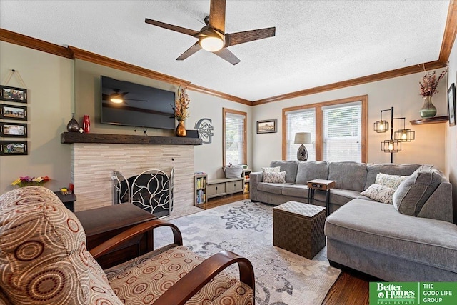 2028 N 55th St, Omaha, NE 68104 - living area featuring wood finished floors, a ceiling fan, crown molding, a high end fireplace, and a textured ceiling