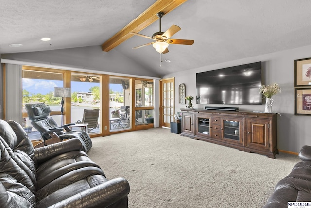 S-1196 N Lake Shore Dr, Fremont, NE 68025 - carpeted living room with ceiling fan, a textured ceiling, and baseboards