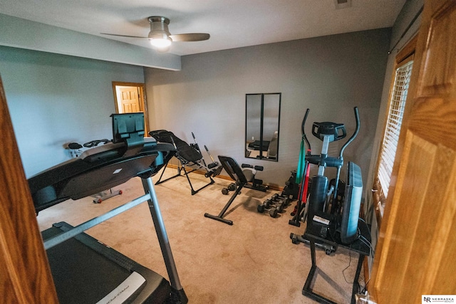 10955 N 58th Plz, Omaha, NE 68152 - workout area with ceiling fan and carpet flooring