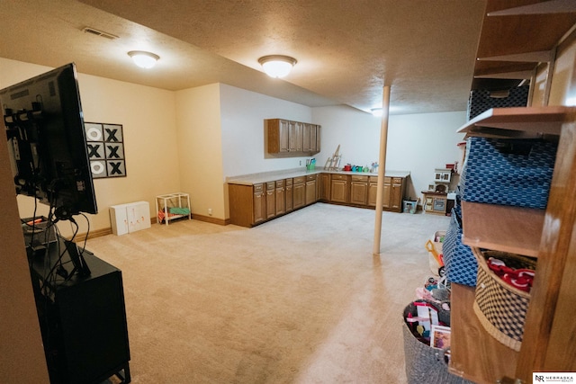 10955 N 58th Plz, Omaha, NE 68152 - finished below grade area featuring light colored carpet, a textured ceiling, and baseboards