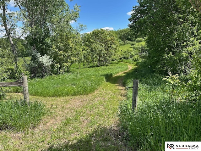 10955 N 58th Plz, Omaha, NE 68152 - view of local wilderness