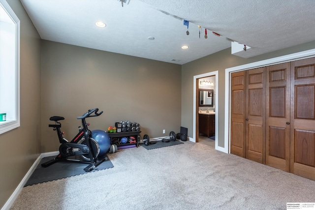 15210 Craig Cir, Bennington, NE 68007 - exercise room featuring baseboards, carpet, and recessed lighting