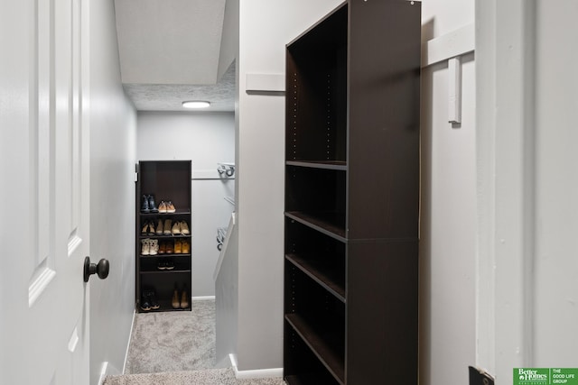 3501 Leawood Dr, Bellevue, NE 68123 - walk in closet with carpet flooring