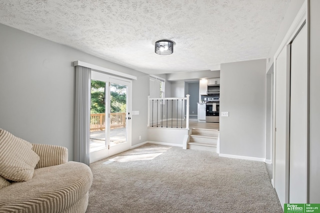 3501 Leawood Dr, Bellevue, NE 68123 - sitting room with carpet flooring, baseboards, and a textured ceiling