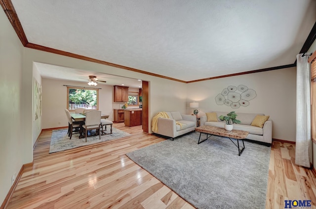 4801 S 72nd St, Lincoln, NE 68516 - living room with light wood-style flooring, baseboards, ceiling fan, and crown molding