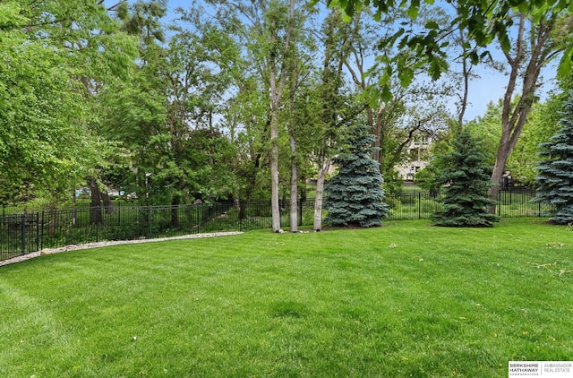 1419 N 188th St, Elkhorn, NE 68022 - view of yard