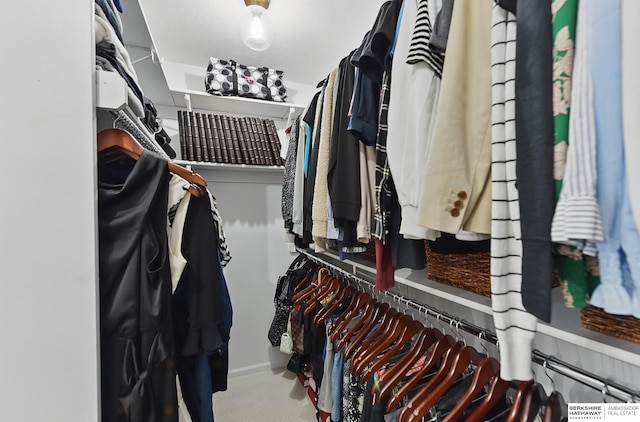 1725 N 162nd St, Omaha, NE 68118 - view of spacious closet