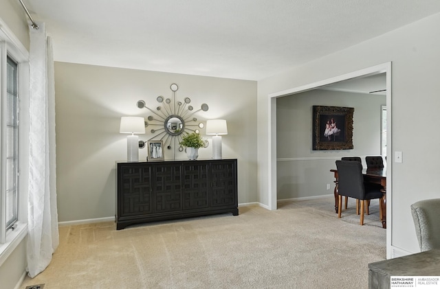 1725 N 162nd St, Omaha, NE 68118 - living area with carpet and baseboards