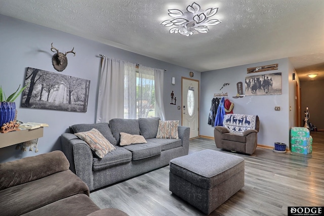 950 E 16th St, Fremont, NE 68025 - living room featuring a textured ceiling and wood finished floors