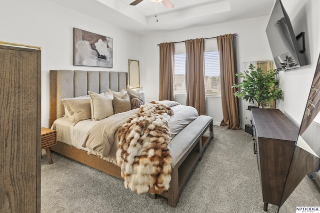 7717 N 108th St, Omaha, NE 68142 - bedroom with carpet floors, a tray ceiling, and a ceiling fan