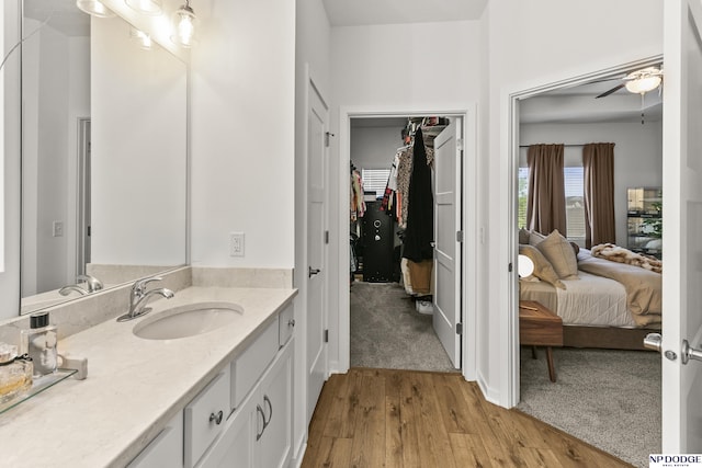 7717 N 108th St, Omaha, NE 68142 - ensuite bathroom with wood finished floors, vanity, a walk in closet, and a ceiling fan