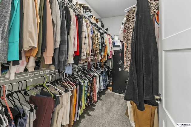 7717 N 108th St, Omaha, NE 68142 - walk in closet featuring carpet flooring