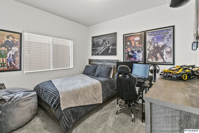 7717 N 108th St, Omaha, NE 68142 - carpeted bedroom with a desk