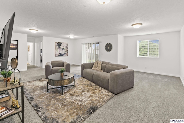7717 N 108th St, Omaha, NE 68142 - living area featuring carpet, baseboards, a textured ceiling, and plenty of natural light