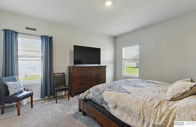 6312 Centennial Rd, Papillion, NE 68157 - carpeted bedroom with baseboards