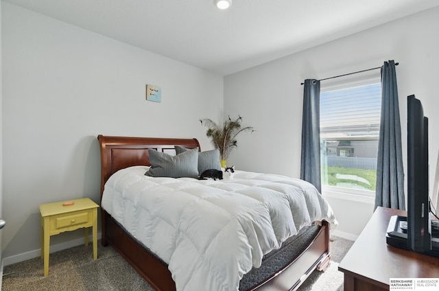 6312 Centennial Rd, Papillion, NE 68157 - bedroom with carpet and baseboards