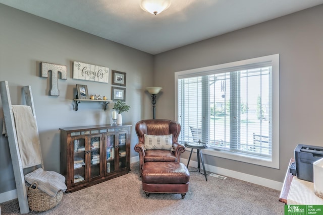 10311 S 124th St, Papillion, NE 68046 - living area with baseboards and carpet floors