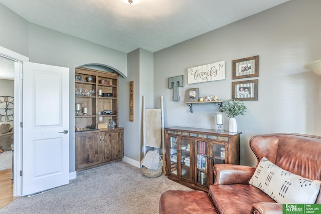 10311 S 124th St, Papillion, NE 68046 - living area featuring carpet floors and baseboards
