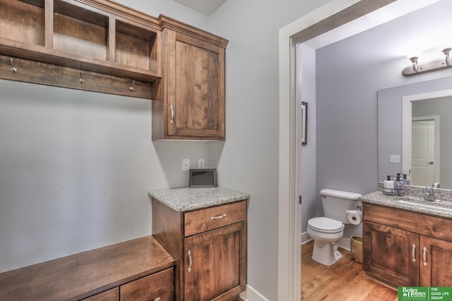 10311 S 124th St, Papillion, NE 68046 - bathroom with vanity, toilet, wood finished floors, and baseboards