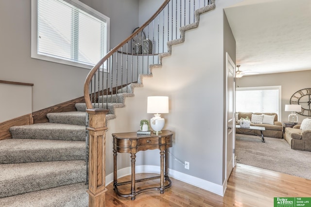 10311 S 124th St, Papillion, NE 68046 - staircase featuring wood finished floors and baseboards