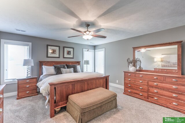 10311 S 124th St, Papillion, NE 68046 - bedroom with light colored carpet, multiple windows, and baseboards