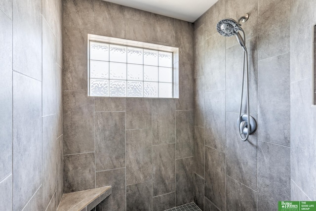 10311 S 124th St, Papillion, NE 68046 - bathroom featuring tiled shower