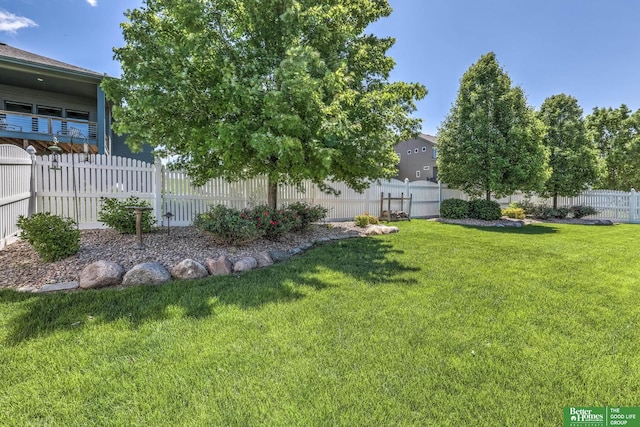 10311 S 124th St, Papillion, NE 68046 - view of yard