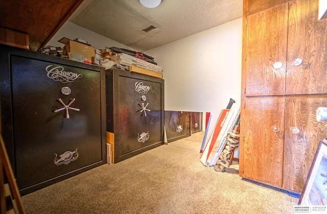 1915 S 131st Ave, Omaha, NE 68144 - hall featuring carpet floors and a textured ceiling