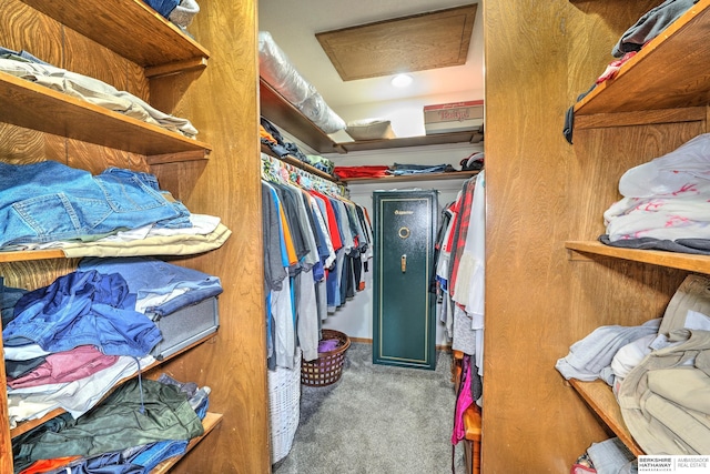 1915 S 131st Ave, Omaha, NE 68144 - walk in closet with attic access and carpet flooring
