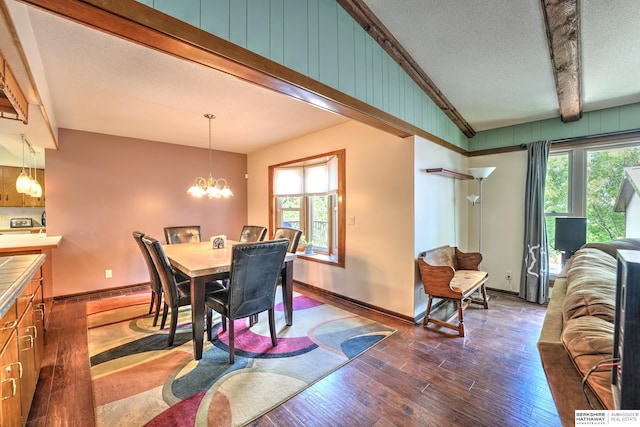1915 S 131st Ave, Omaha, NE 68144 - dining room with healthy amount of natural light, dark wood finished floors, a textured ceiling, and baseboards