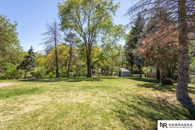1511 Lorraine Ave, Bellevue, NE 68005 - view of green lawn