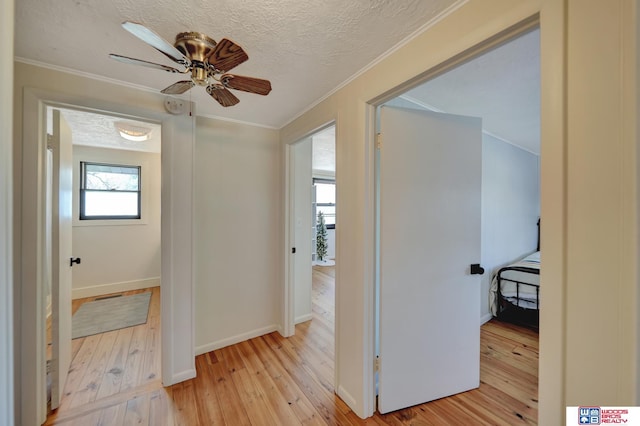 209 N Maloney Dr, North Platte, NE 69101 - hallway featuring light wood-style flooring, ornamental molding, baseboards, and a textured ceiling